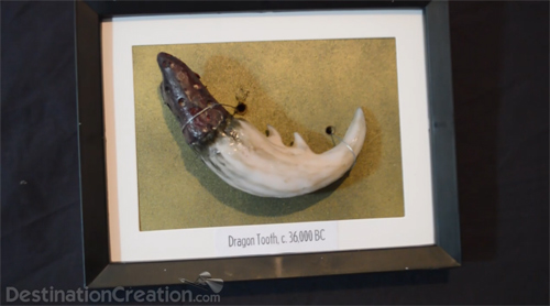 Dragon tooth sculpture
